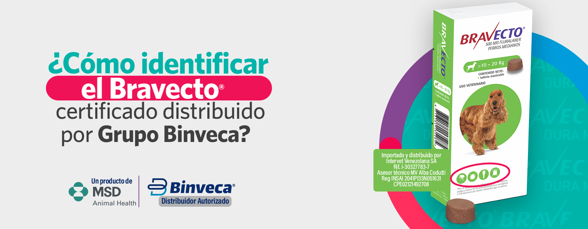 Pagina-web-1920x750-3