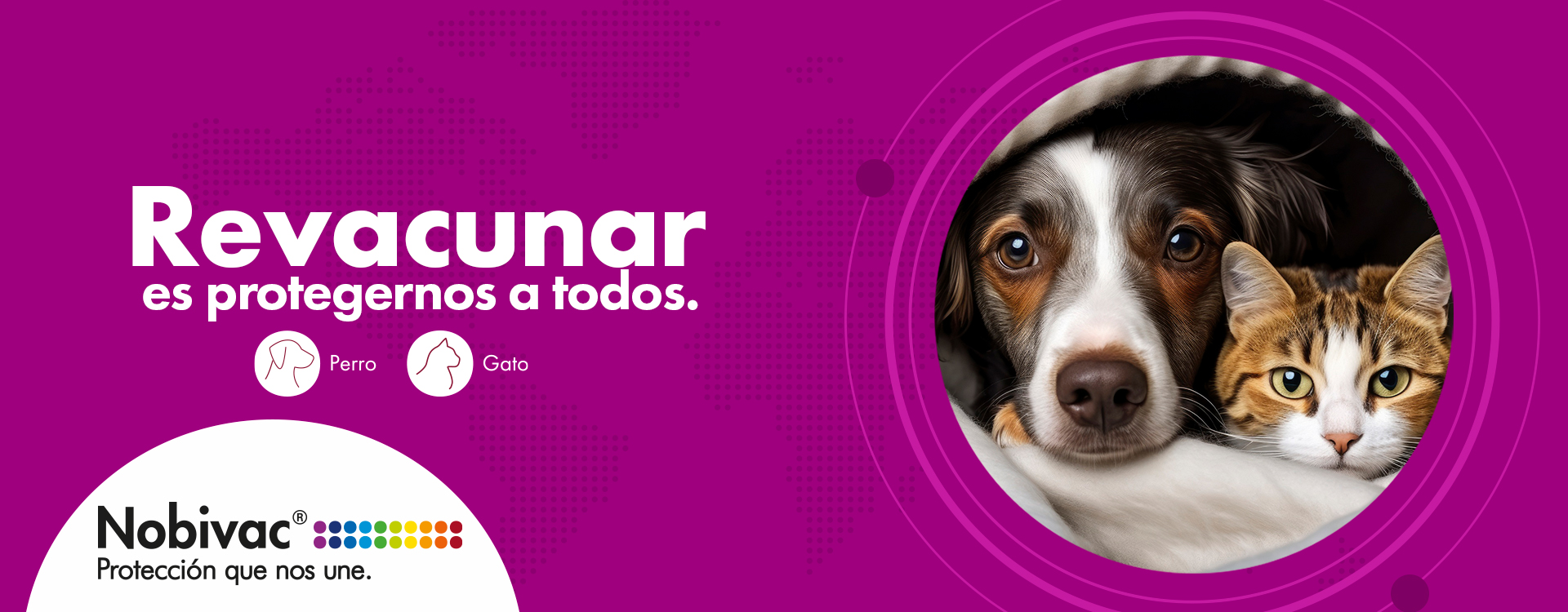 Pagina-web-1920x750-4